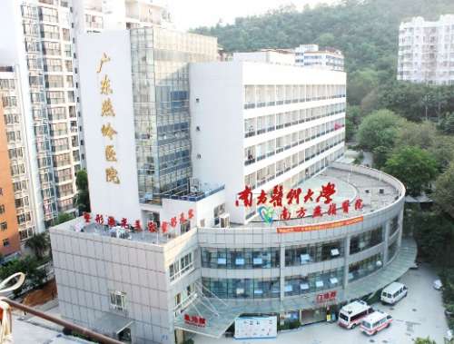 广东燕岭医院