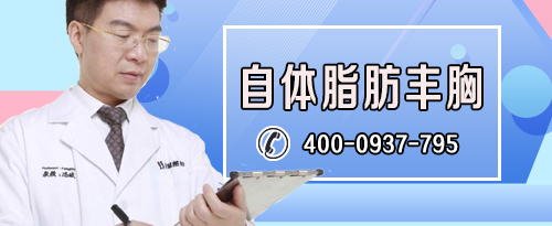 呆狐网