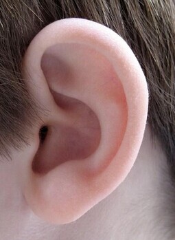 右耳辐射影响大脑比左耳大吗