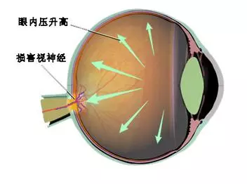 20190405100415_74279.png