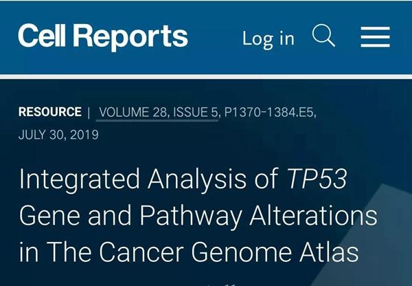 TP53突变影响未来癌症走势
