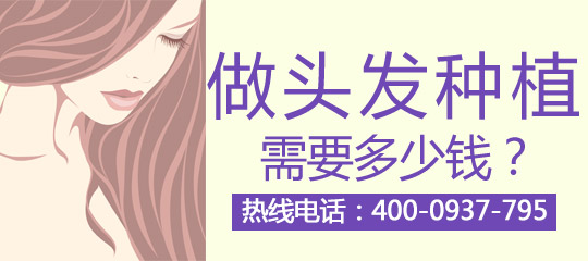 毛发种植的全过程
