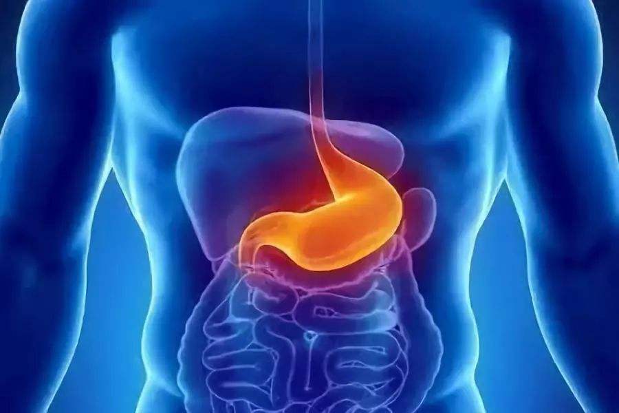 胃癌有哪些不同种类分型？