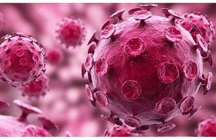 HPV是什么