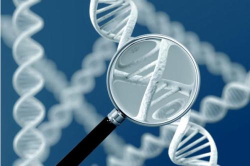 Nature子刊：基因组+生物标志物共定位对乳腺癌精 准分型