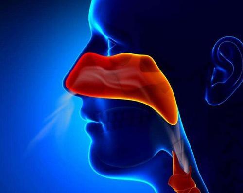 鼻咽癌可以采用质子重离子治疗吗？