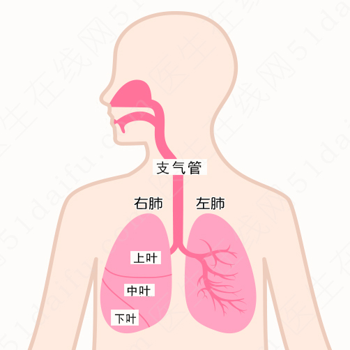 伽 玛 刀 治 疗 肺 癌 效 果