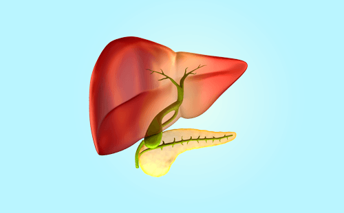 胰腺癌为什么容易转移到肝脏？
