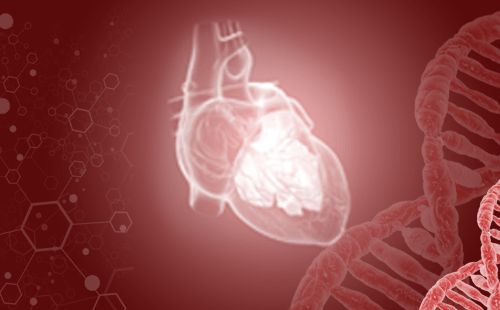 心脏疾病在影像学检查中的应用，petct检查用于哪些心脏疾病？