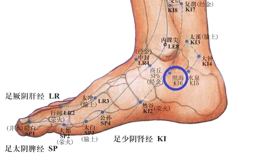 人體自帶四個消炎穴,很管用_醫生在線