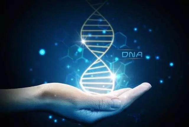 华大基因联手阿里云打破世界纪录：仅用15分钟完成个人全基因组测序